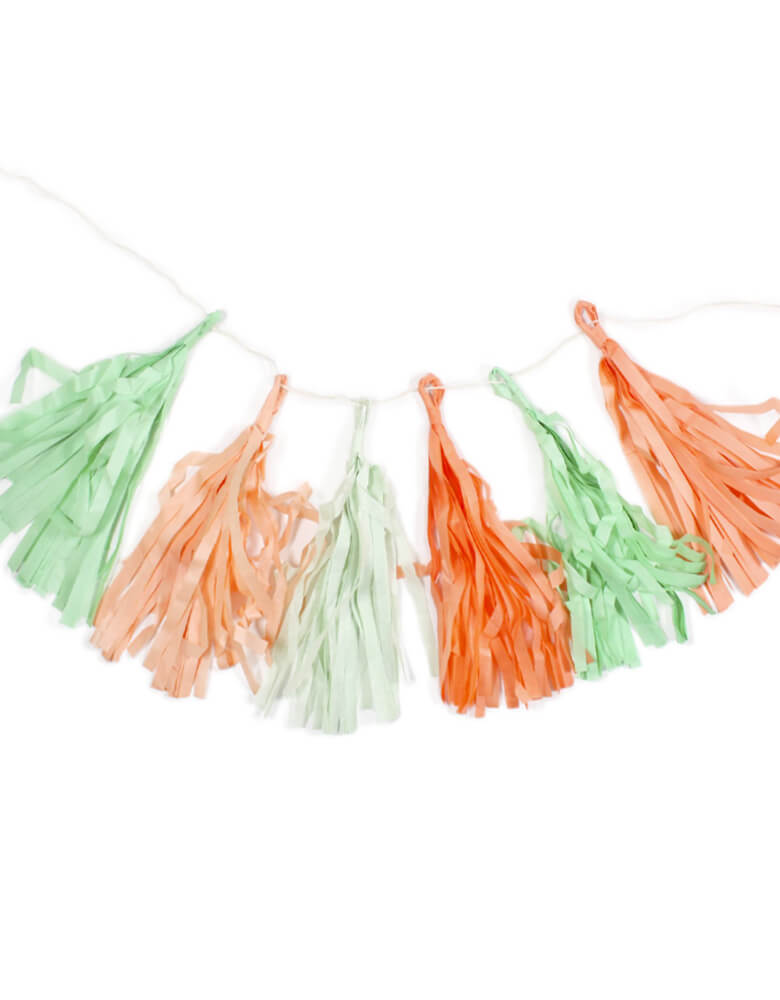 My Mind's Eye Trend Tassel Banner. This tassel banner kit includes 12 pre-strung, pre-made 10" tassels, in green, mint and coral colors. Modern party decoration for Fiesta themed birthday party, Kids' Tea party, Spring Garden party, Tropical Party, Baby shower, Wedding celebration and all kinds of party in pastel mint and peach colors. 
