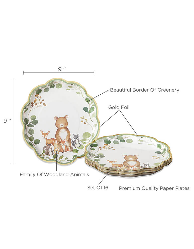 Kate Aspen Woodland Baby 9 in. Premium Paper Plates (Set of 16)